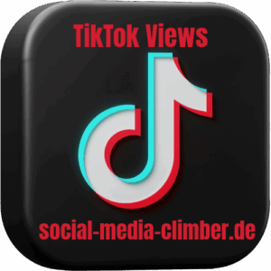 TikTok USA Views ➡️ [ Hohe Qualität ]